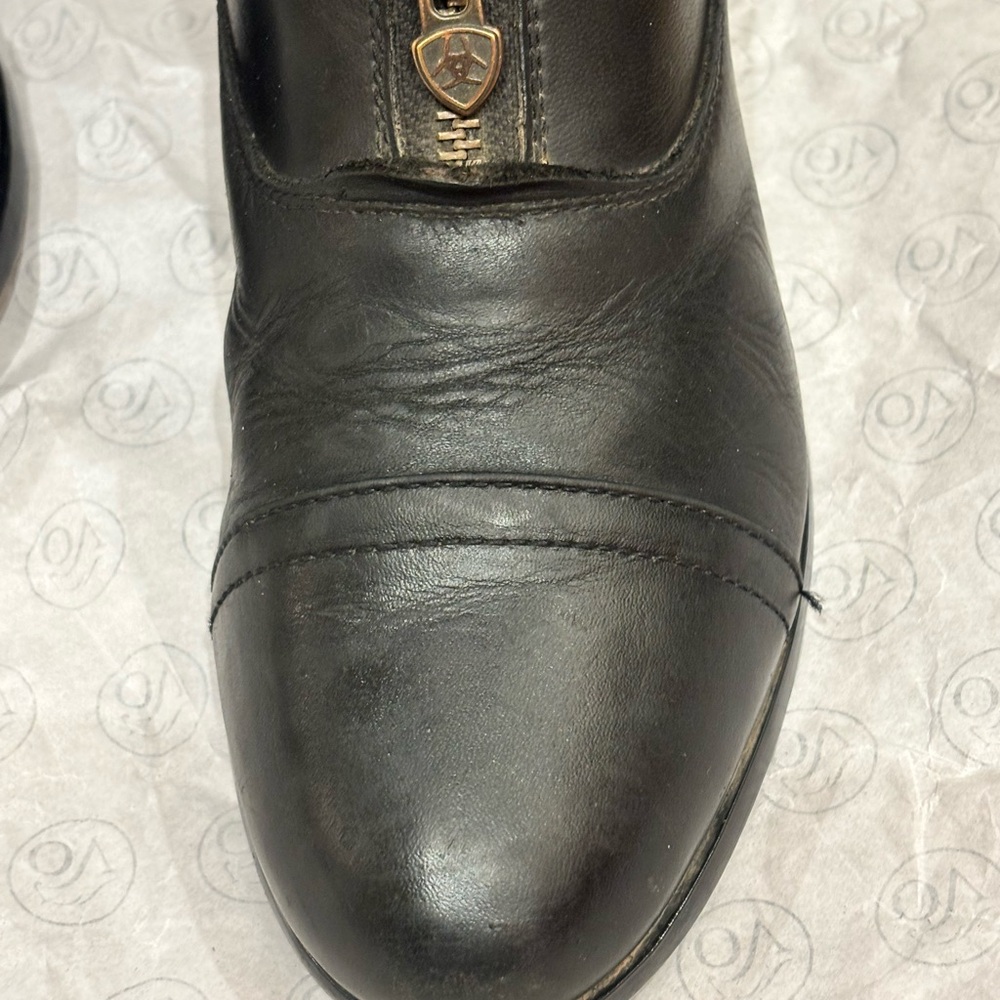 Ariat Women's Black Scout Zip Paddock Boots Greta for lessons, English shows - Picture 5 of 7